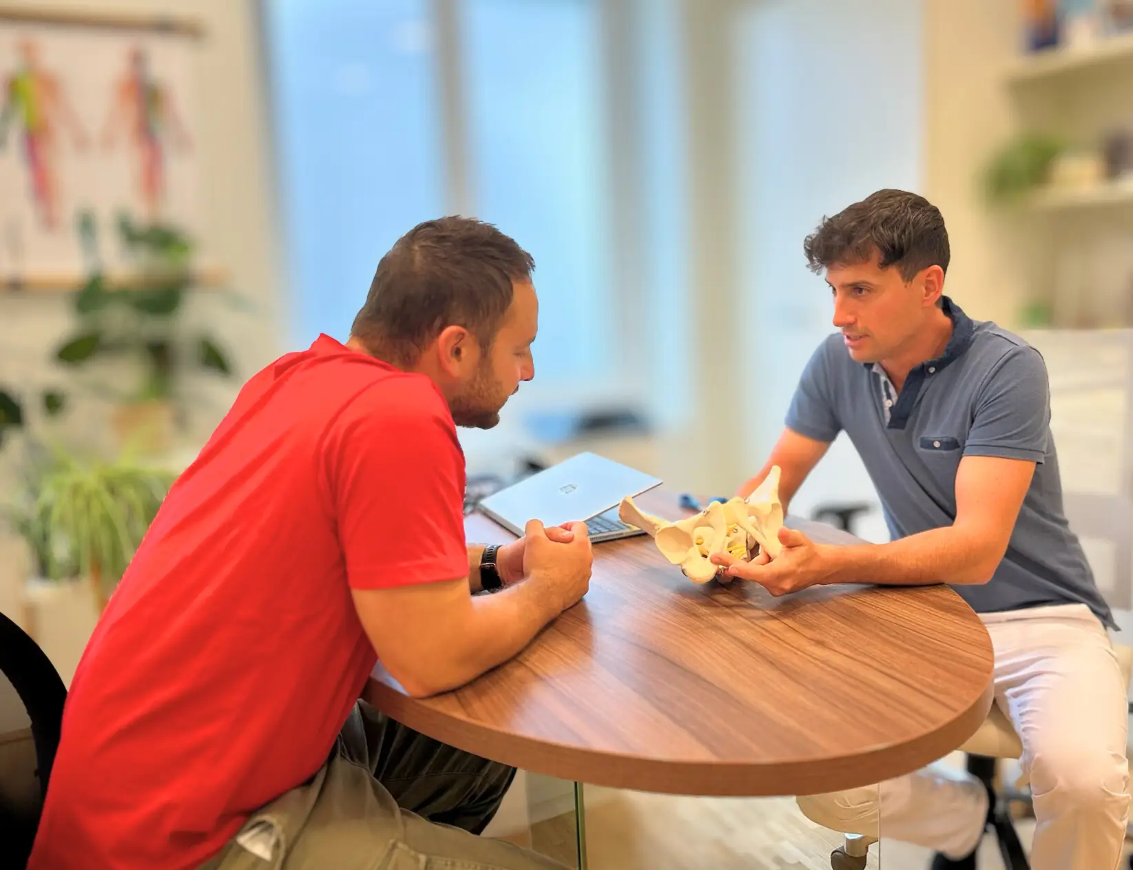 Therapeut erklärt einem Mann die Beckenbodenmuskulatur anhand eines Modells